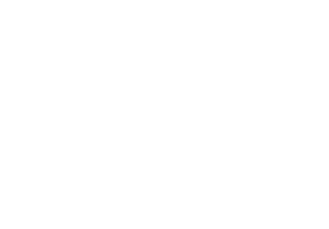 لوگو آژانس مسافرتی آبی بال تهران عضو تیپورت